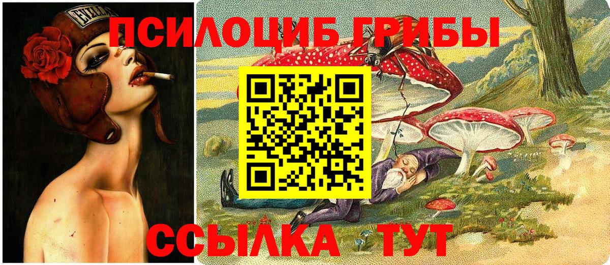 Псилоцибиновые грибы мицелий Ростов-на-Дону