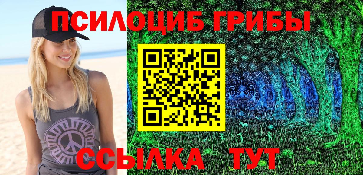 Галлюциногенные грибы Cubensis  Вход с VPN  купить наркоту  Ростов-на-Дону 